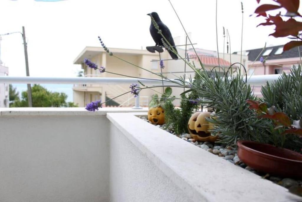 Maia'S Beach Studio Znjan Split Luaran gambar